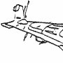 Sardine