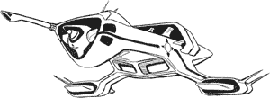 Combat Cruiser